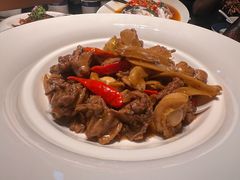 -凤凰湘语(浦东旗舰店)