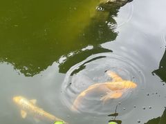 -口岸雕花楼