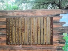 -北海金海湾红树林生态旅游区