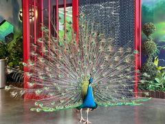 -昆明大悦城未来动物城(螺蛳湾中心店)