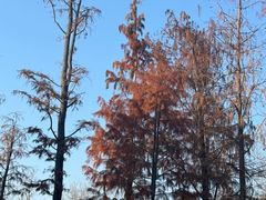 -福州中庚聚龍酒店香汇自助餐厅(南江滨西大道店)