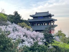 -泰山风景名胜区