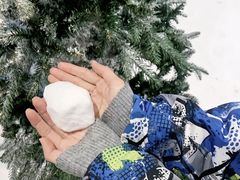 -世界之窗阿尔卑斯冰雪世界
