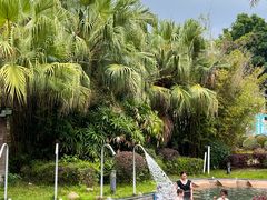 -罗浮山嘉宝田森林温泉度假酒店