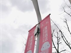 -上海海昌海洋公园-停车场