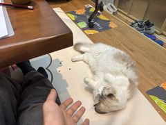 -剧狐剧本杀(徐汇1号店)