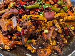 -老号尤兔头(幸福店)