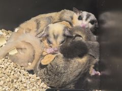 -太平洋海底世界