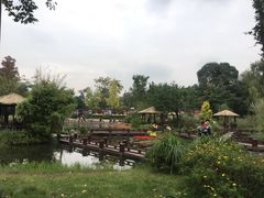 -成飞公园