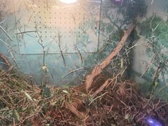 -上海昆虫博物馆