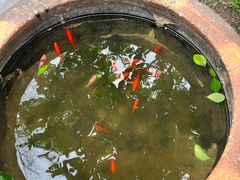 -正阳书局(西四南大街店)