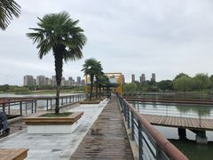 -白塘生态植物园