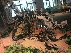 -自贡恐龙博物馆