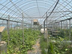 -庞各庄翠芳园西瓜蔬菜基地采摘园