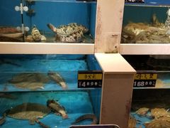 -鲜鲜·鲅鱼圈海鲜(于洪店)