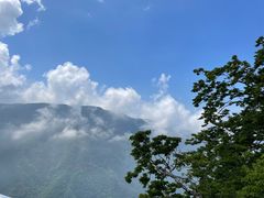 -陕西省红河谷森林公园