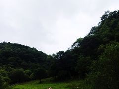 -大水川景区