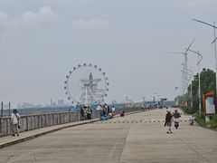 -碧海金沙