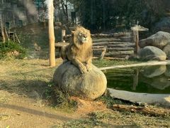 -泉州海丝野生动物世界