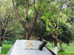 -番禺大夫山森林公园