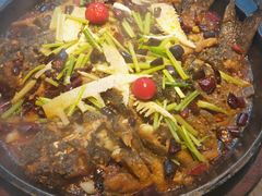 -老板恋上鱼(恒隆广场店)