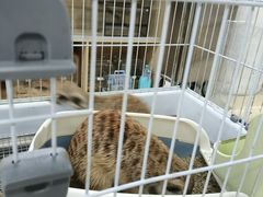 -大悦城(沈阳中街店)