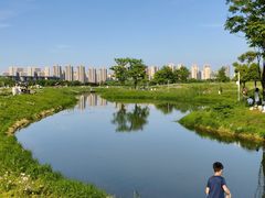 -洋湖国家湿地公园