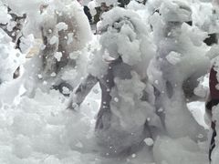 -温都水城·水梦奇缘
