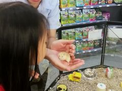 -宠物世家(仲盛世界商城店)