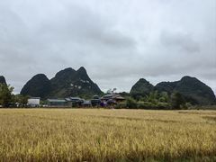 -靖西鹅泉风景区