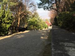 -天龙八部武侠城