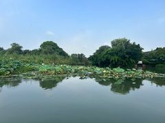 -西溪国家湿地公园