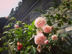 -回龙窝历史文化街区