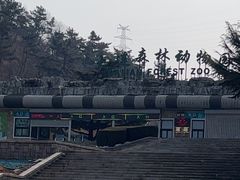 -大连森林动物园