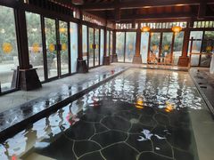 -东海森林温泉