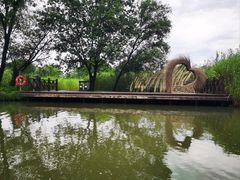 -西溪国家湿地公园