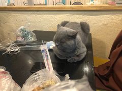 -猫小院猫主题咖啡厅(北锣店)