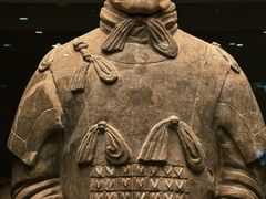 -大青山野生动物园