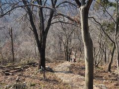 -南京老山国家森林公园