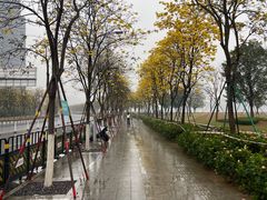 -洲头咀公园