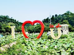 -红山村