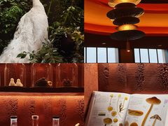 -滇野云南野生菌餐厅(陕西南路店)