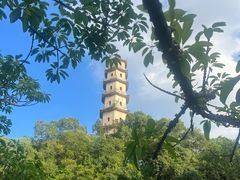 -江心屿景区