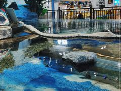 -鸿通城购物中心