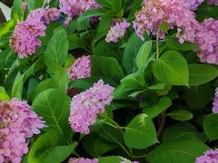 -海合安武汉极地海洋公园