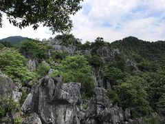 -千岛湖石林