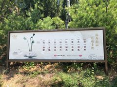 -龙口南山旅游景区