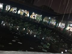 荷花池-荷香居(洞企石路店)