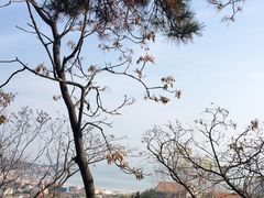 -崂山仰口游览区