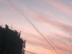 油焖大虾-五七小李子油焖大虾(总店)